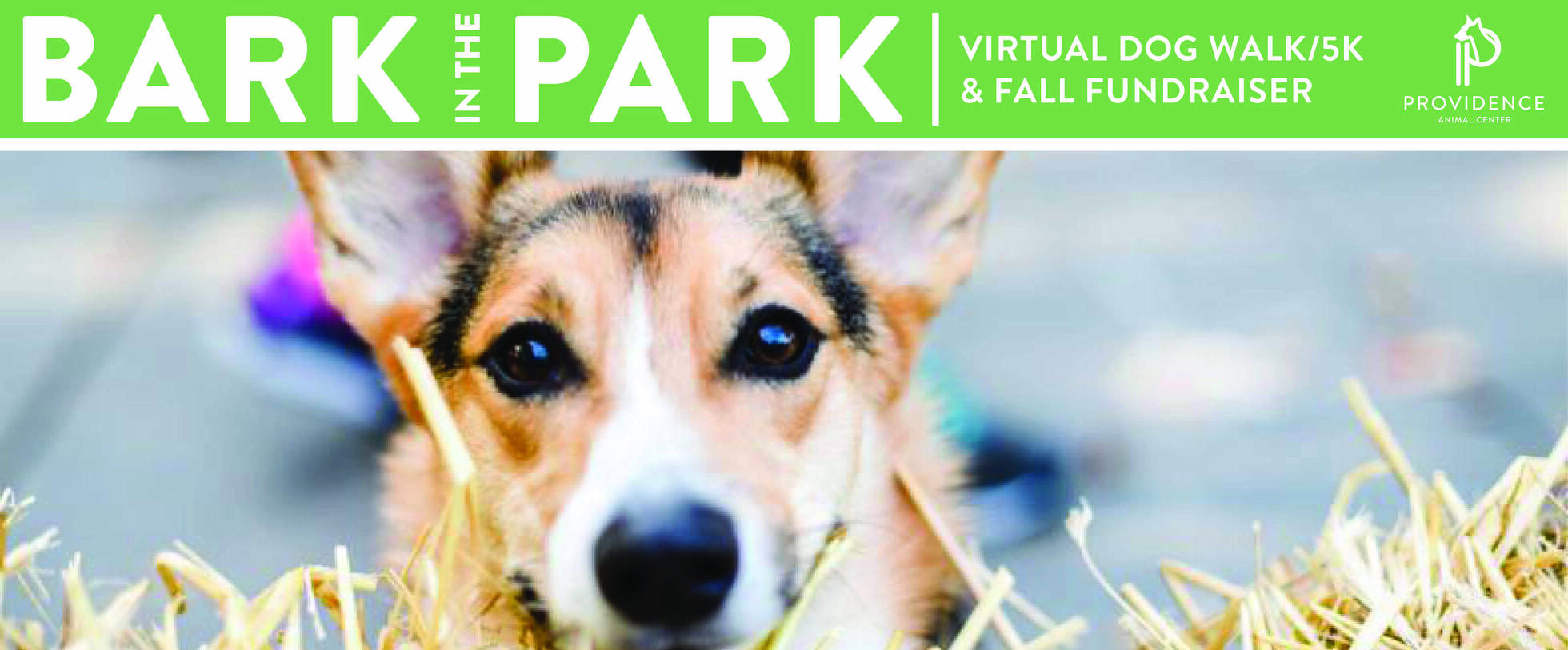 Bark in the Park 5K and Fall Fundraiser 